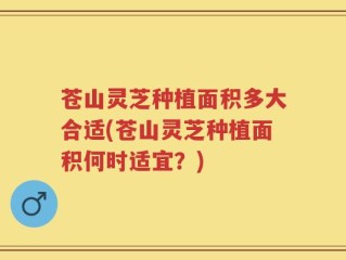 苍山灵芝种植面积多大合适(苍山灵芝种植面积何时适宜？)