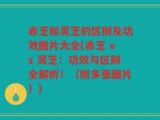 赤芝和灵芝的区别及功效图片大全(赤芝 vs 灵芝：功效与区别全解析！（附多张图片）)