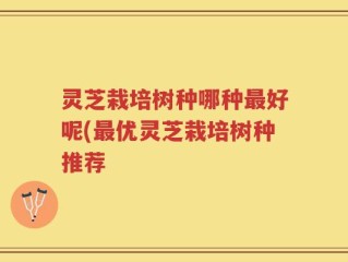 灵芝栽培树种哪种最好呢(最优灵芝栽培树种推荐