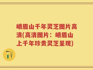 峨眉山千年灵芝图片高清(高清图片：峨眉山上千年珍贵灵芝呈现)