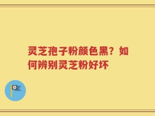 灵芝孢子粉颜色黑？如何辨别灵芝粉好坏