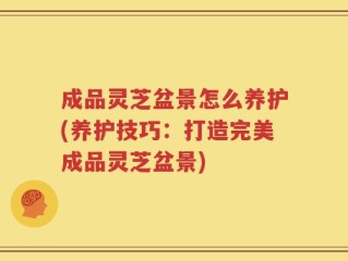 成品灵芝盆景怎么养护(养护技巧：打造完美成品灵芝盆景)