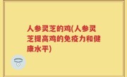 人参灵芝的鸡(人参灵芝提高鸡的免疫力和健康水平)