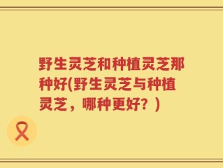 野生灵芝和种植灵芝那种好(野生灵芝与种植灵芝，哪种更好？)