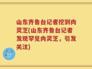 山东齐鲁台记者挖到肉灵芝(山东齐鲁台记者发现罕见肉灵芝，引发关注)