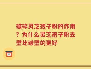 破碎灵芝孢子粉的作用？为什么灵芝孢子粉去壁比破壁的更好