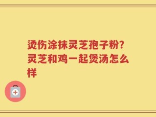 烫伤涂抹灵芝孢子粉？灵芝和鸡一起煲汤怎么样