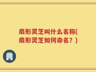 扇形灵芝叫什么名称(扇形灵芝如何命名？)