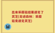 出来采蘑菇结果遇见了灵芝(走进森林：采蘑菇竟遇见灵芝)