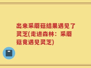 出来采蘑菇结果遇见了灵芝(走进森林：采蘑菇竟遇见灵芝)