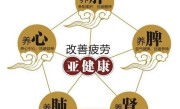 灵芝孢子粉有用吗？灵芝孢子粉提高免疫力 改善亚健康