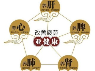 灵芝孢子粉有用吗？灵芝孢子粉提高免疫力 改善亚健康