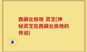 西藏北极地 灵芝(神秘灵芝在西藏北极地的传说)