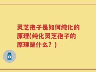 灵芝孢子是如何纯化的原理(纯化灵芝孢子的原理是什么？)
