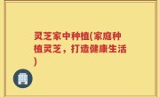 灵芝家中种植(家庭种植灵芝，打造健康生活)