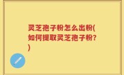 灵芝孢子粉怎么出粉(如何提取灵芝孢子粉？)