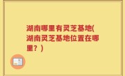 湖南哪里有灵芝基地(湖南灵芝基地位置在哪里？)