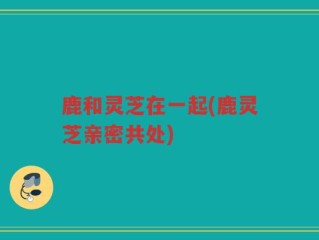 鹿和灵芝在一起(鹿灵芝亲密共处)