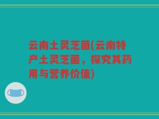云南土灵芝菌(云南特产土灵芝菌，探究其药用与营养价值)
