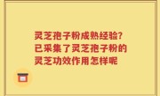 灵芝孢子粉成熟经验？已采集了灵芝孢子粉的灵芝功效作用怎样呢