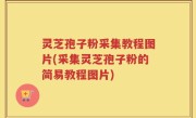 灵芝孢子粉采集教程图片(采集灵芝孢子粉的简易教程图片)