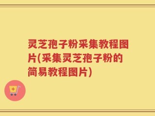 灵芝孢子粉采集教程图片(采集灵芝孢子粉的简易教程图片)