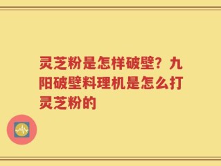 灵芝粉是怎样破壁？九阳破壁料理机是怎么打灵芝粉的