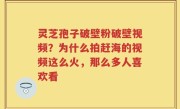 灵芝孢子破壁粉破壁视频？为什么拍赶海的视频这么火，那么多人喜欢看