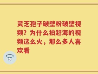 灵芝孢子破壁粉破壁视频？为什么拍赶海的视频这么火，那么多人喜欢看