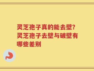 灵芝孢子真的能去壁？灵芝孢子去壁与破壁有哪些差别