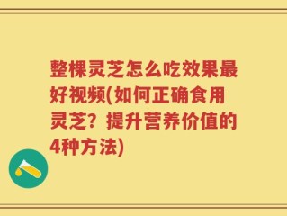 整棵灵芝怎么吃效果最好视频(如何正确食用灵芝？提升营养价值的4种方法)