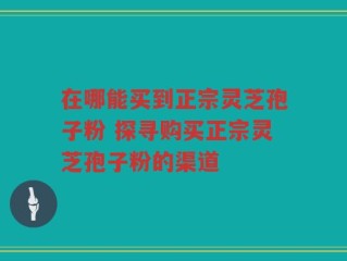 在哪能买到正宗灵芝孢子粉 探寻购买正宗灵芝孢子粉的渠道