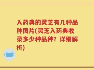 入药典的灵芝有几种品种图片(灵芝入药典收录多少种品种？详细解析)
