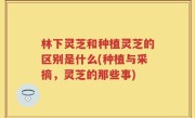 林下灵芝和种植灵芝的区别是什么(种植与采摘，灵芝的那些事)