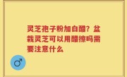 灵芝孢子粉加白醋？盆栽灵芝可以用醋擦吗需要注意什么