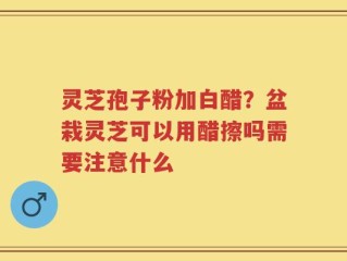 灵芝孢子粉加白醋？盆栽灵芝可以用醋擦吗需要注意什么
