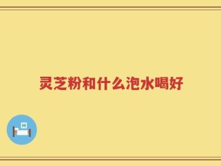 灵芝粉和什么泡水喝好