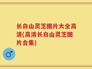 长白山灵芝图片大全高清(高清长白山灵芝图片合集)