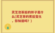 灵芝泡茶后的样子是什么(灵芝茶的煮后变化，你知道吗？)