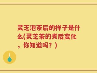 灵芝泡茶后的样子是什么(灵芝茶的煮后变化，你知道吗？)