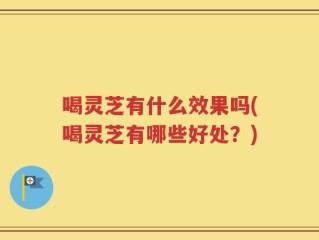 喝灵芝有什么效果吗(喝灵芝有哪些好处？)
