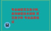 专业破壁灵芝孢子粉_高效破壁技术提取 灵芝孢子粉 专业品质保证
