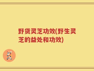 野货灵芝功效(野生灵芝的益处和功效)