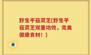 野生平菇灵芝(野生平菇灵芝双重功效，完美健康食材！)