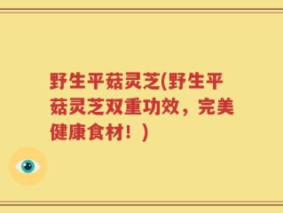 野生平菇灵芝(野生平菇灵芝双重功效，完美健康食材！)