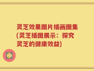 灵芝效果图片插画图集(灵芝插图展示：探究灵芝的健康效益)