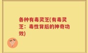 各种有毒灵芝(有毒灵芝：毒性背后的神奇功效)