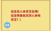 延吉买人参灵芝在哪(延吉哪里能买到人参和灵芝？)