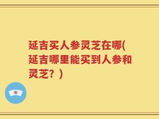 延吉买人参灵芝在哪(延吉哪里能买到人参和灵芝？)