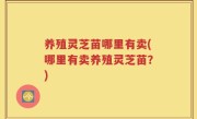 养殖灵芝苗哪里有卖(哪里有卖养殖灵芝苗？)